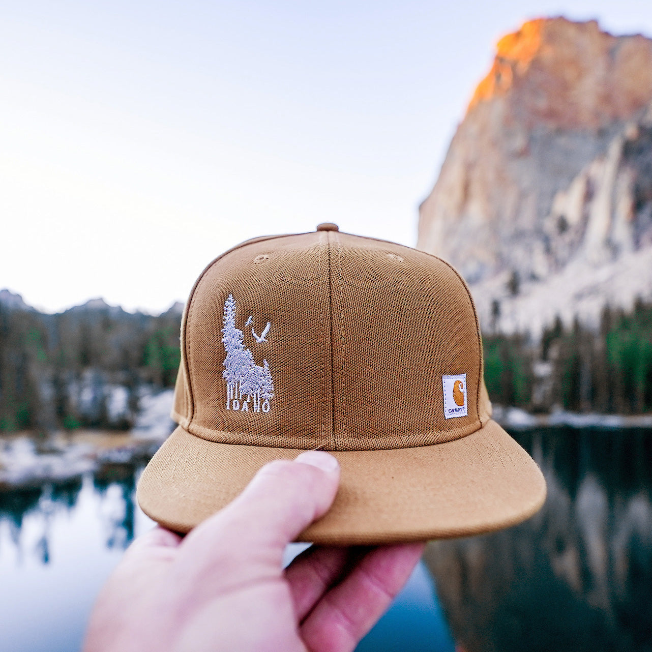 BANANA ink - Idaho Wilderness Carhartt Hat